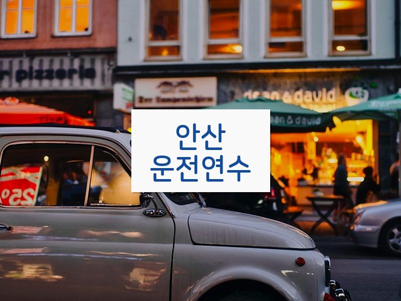 안산운전연수 후기