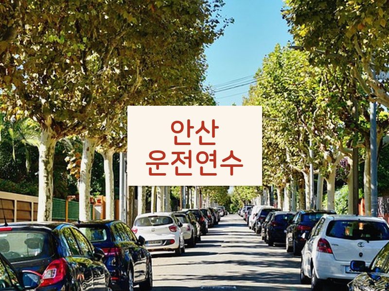 안산운전연수 후기