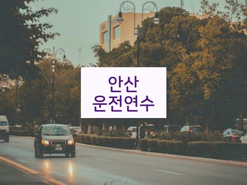 안산운전연수 후기