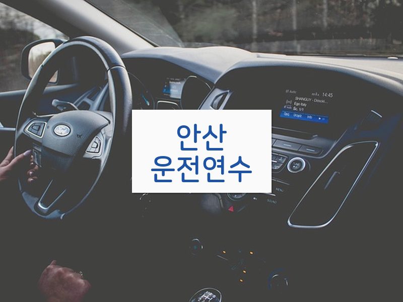 안산운전연수 후기