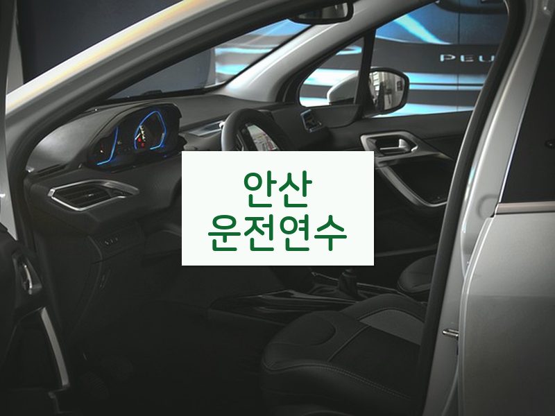 안산운전연수 후기