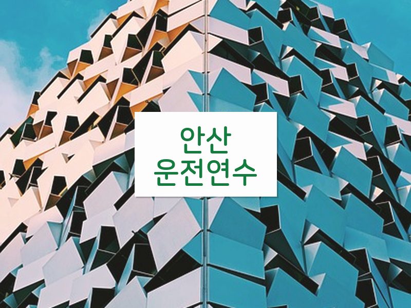 안산운전연수 후기