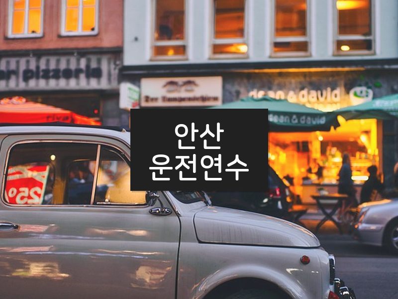안산운전연수 후기