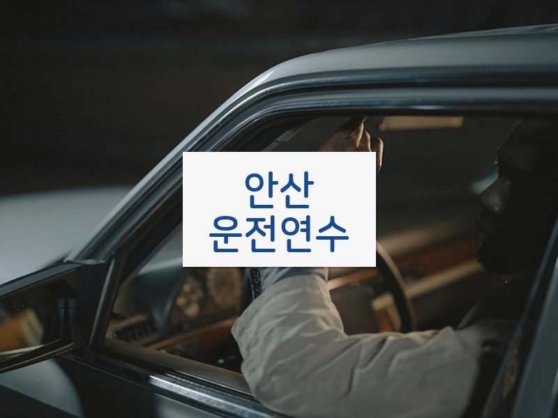 안산운전연수 후기