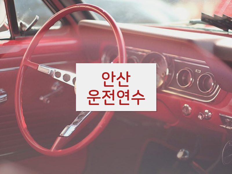 안산운전연수 후기