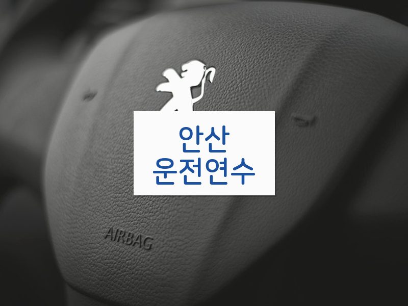 안산운전연수 후기
