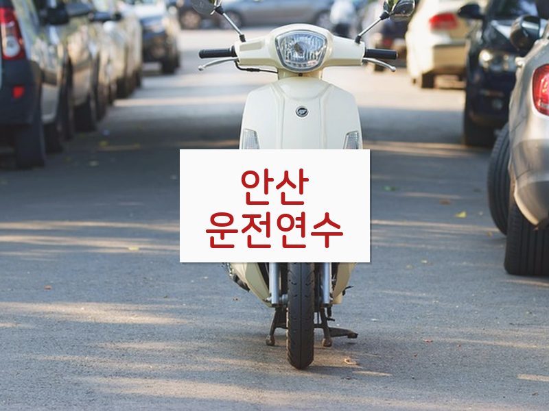 안산운전연수 후기