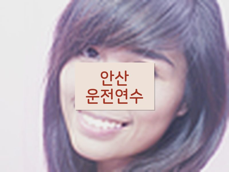 안산운전연수 후기