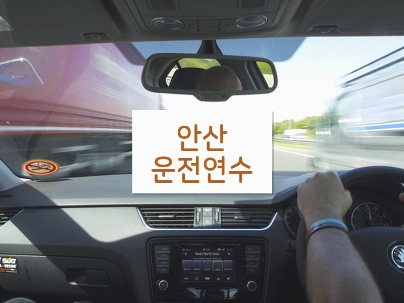 안산운전연수 후기