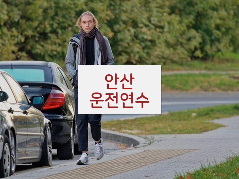 안산운전연수 후기