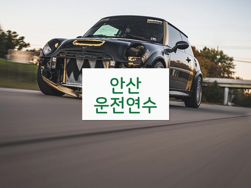 안산운전연수 후기