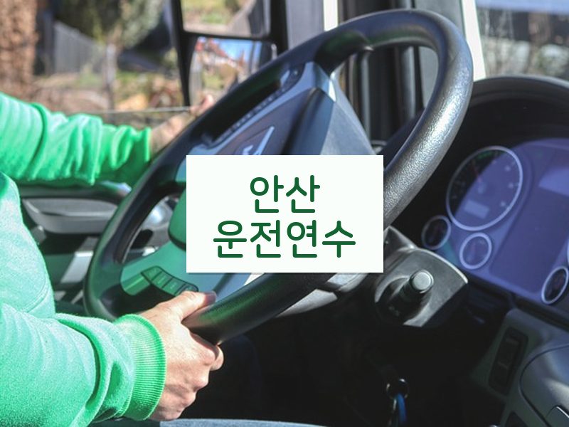 안산운전연수 후기