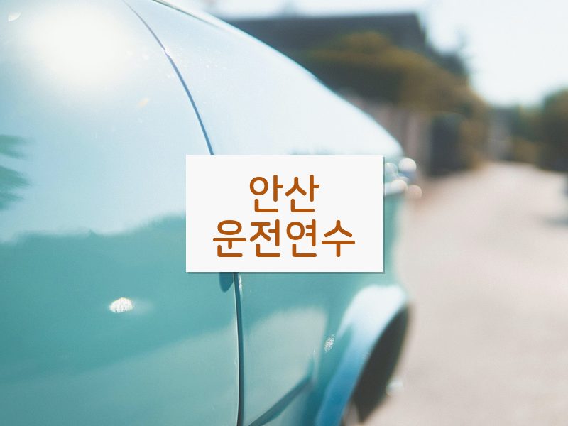 안산운전연수 후기