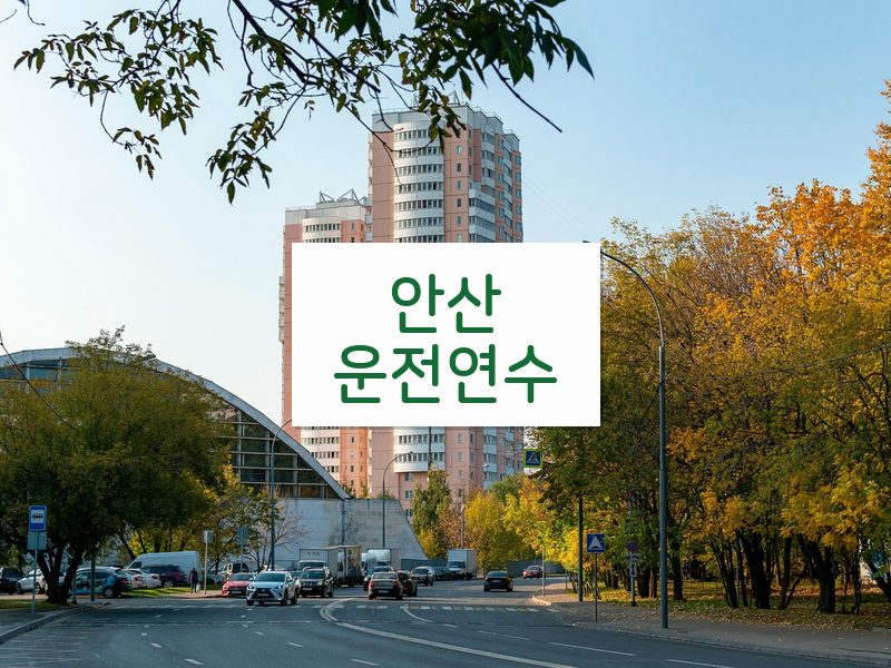 안산운전연수 후기