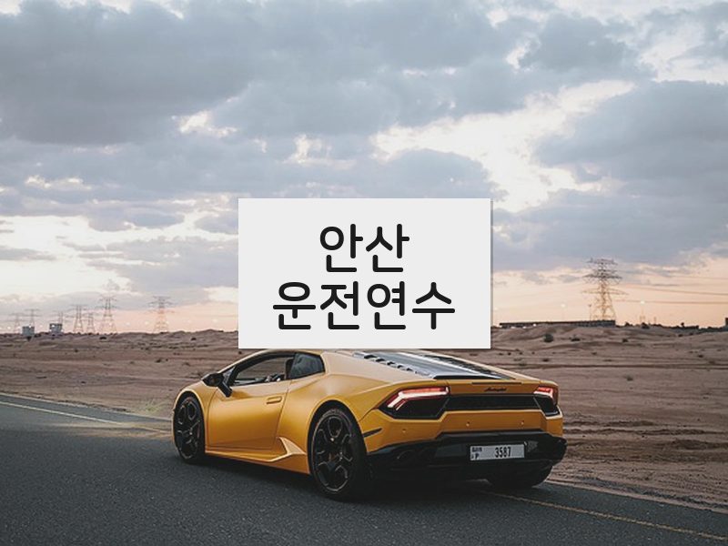 안산운전연수 후기