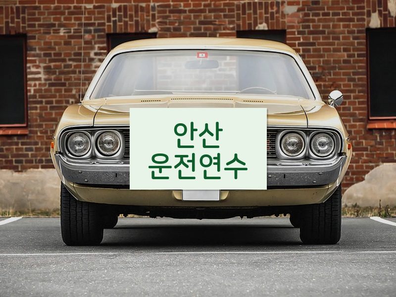 안산운전연수 후기
