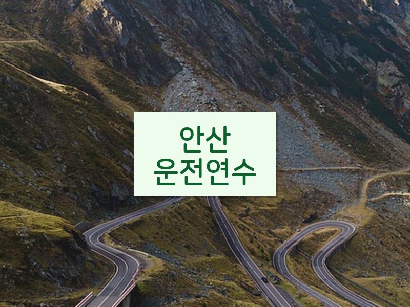 안산운전연수 후기