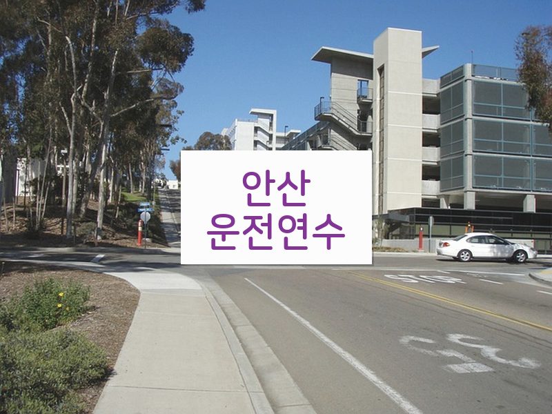 안산운전연수 후기