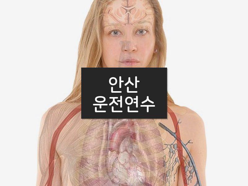 안산운전연수 후기