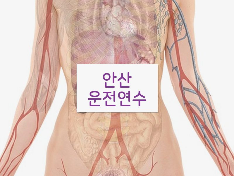안산운전연수 후기