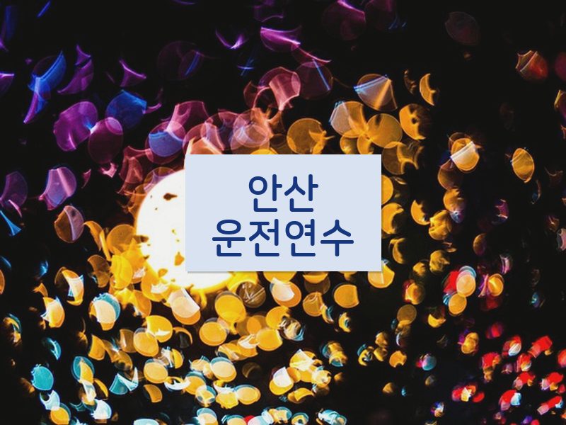 안산운전연수 후기