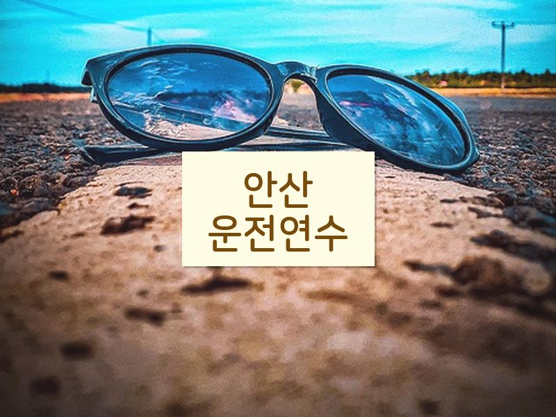 안산운전연수 후기