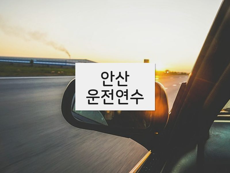안산운전연수 후기