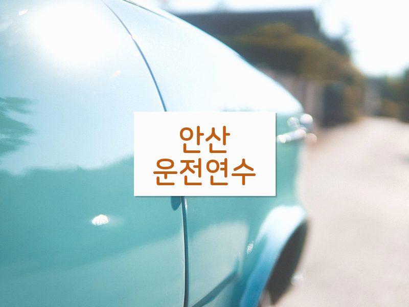 안산운전연수 후기