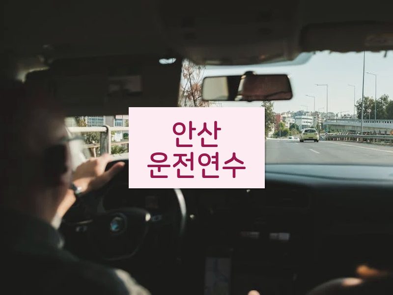 안산운전연수 후기