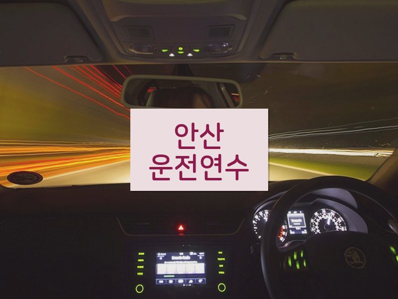 안산운전연수 후기