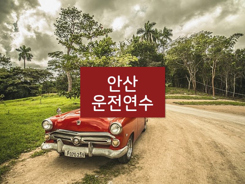 안산운전연수 후기