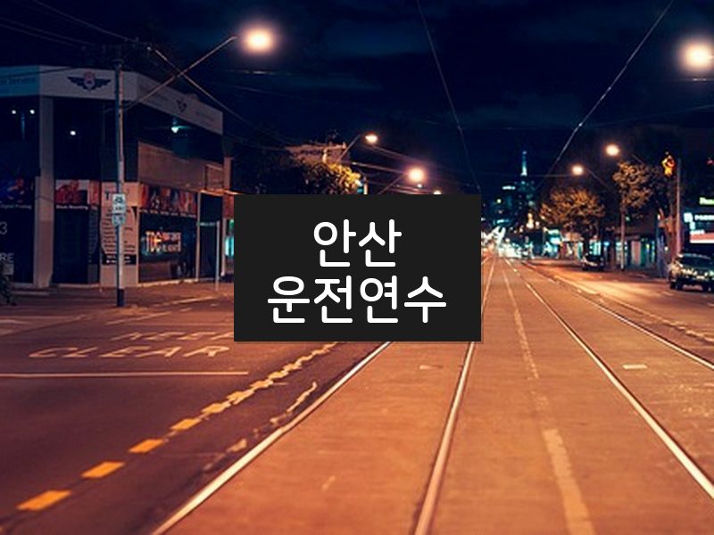 안산운전연수 후기