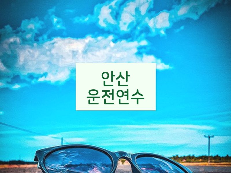 안산운전연수 후기