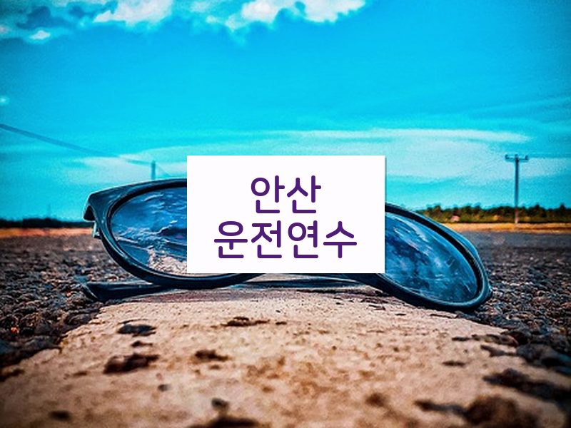 안산운전연수 후기
