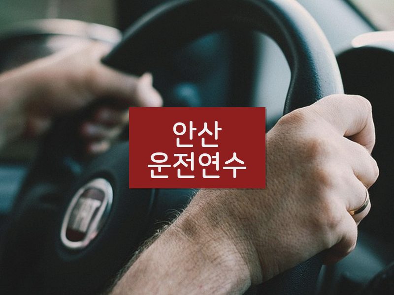 안산운전연수 후기