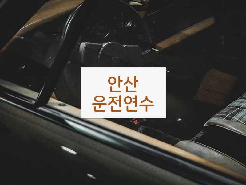 안산운전연수 후기