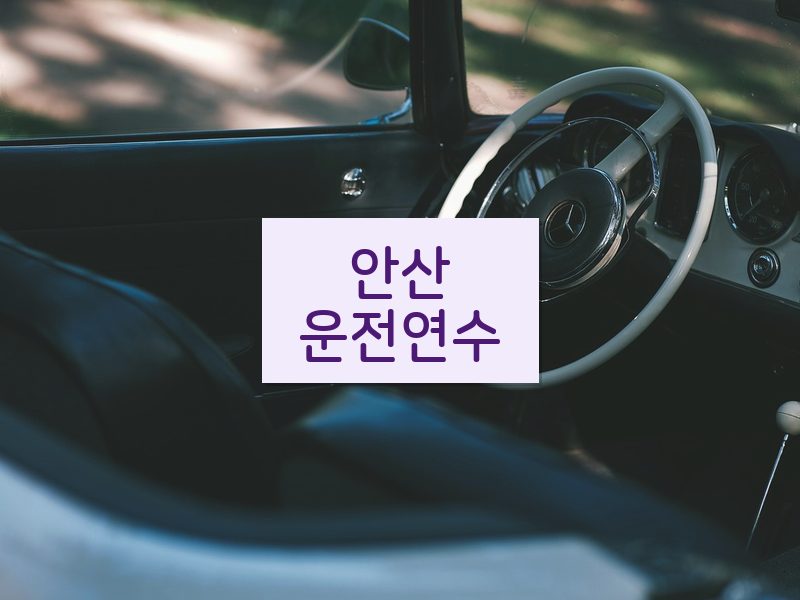 안산운전연수 후기