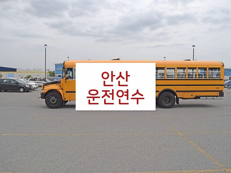 안산운전연수 후기