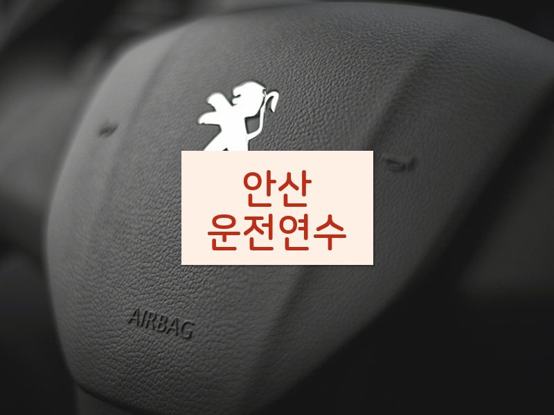 안산운전연수 후기