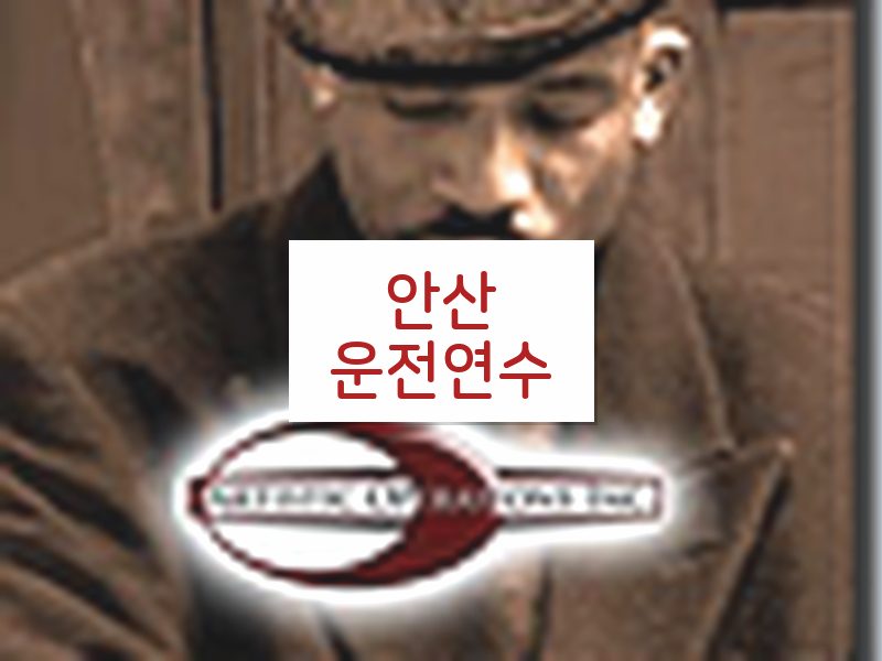 안산운전연수 후기