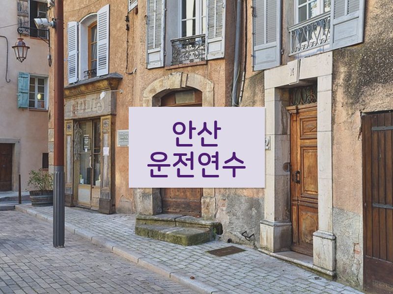 안산운전연수 후기