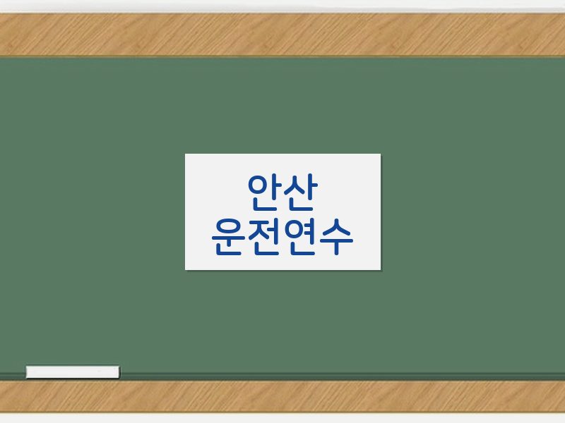 안산운전연수 후기