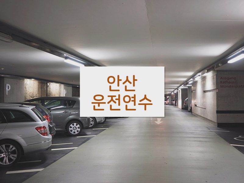 안산운전연수 후기