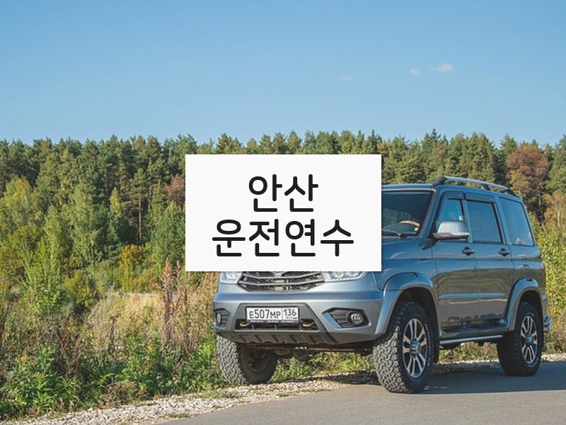 안산운전연수 후기