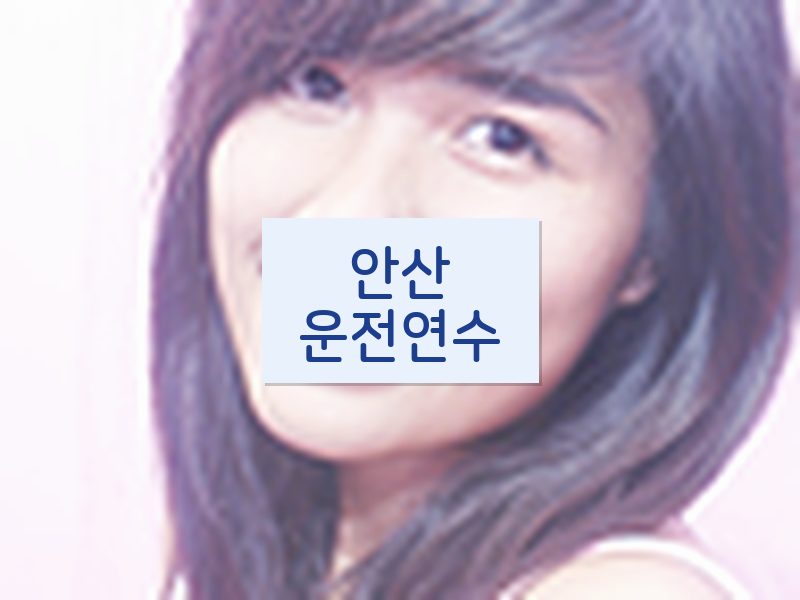 안산운전연수 후기