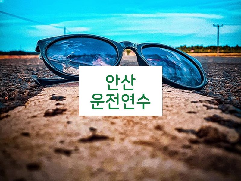 안산운전연수 후기
