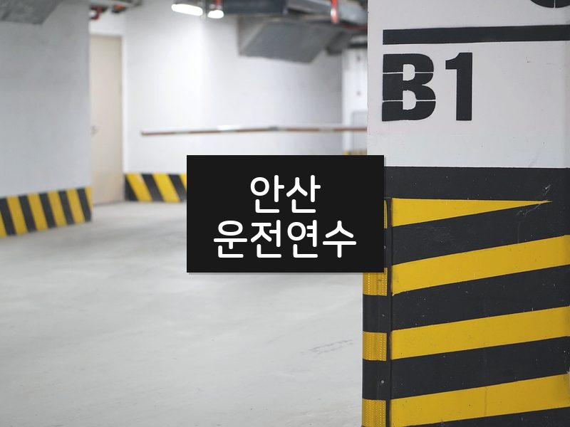 안산운전연수 후기