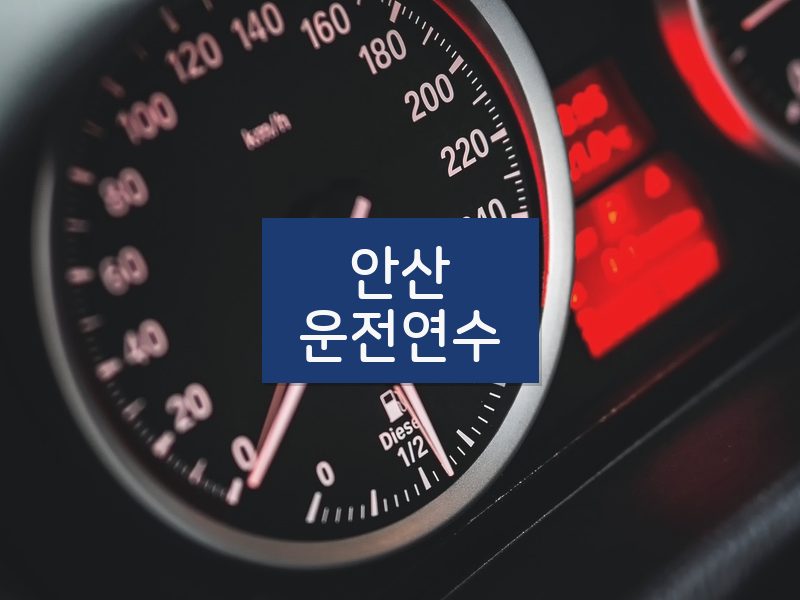 안산운전연수 후기