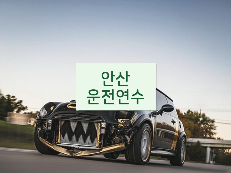 안산운전연수 후기