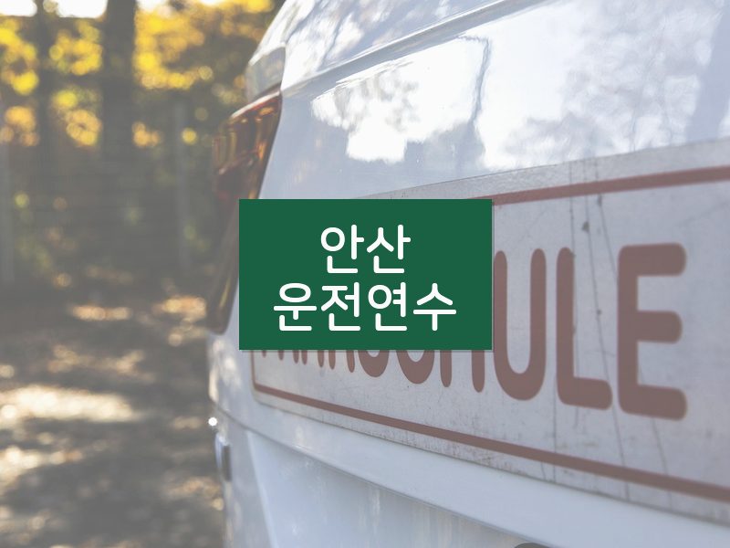 안산운전연수 후기